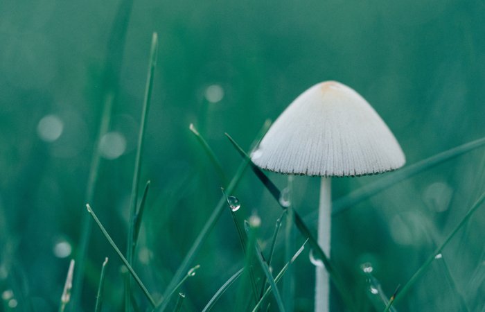 Saba体育 - 您的专属电较量事主场